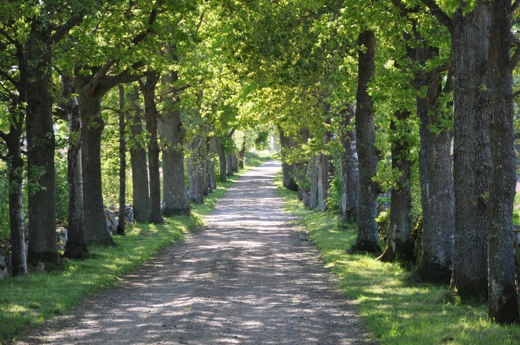 Stalemara Gard Prutgasen Fågelmara Exterior foto